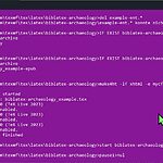 biblatex-archaeology in its environment Ⅴ: TeX4ht for HTML or MS Word conversion 5